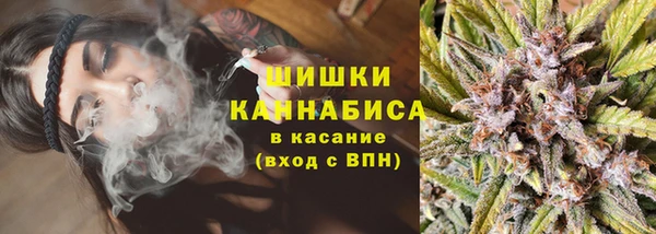 дживик Зеленодольск