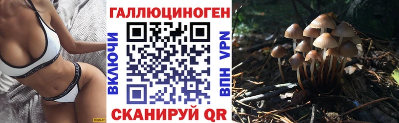 Купить закладки  Белёв  Псилоцибиновые грибы Psilocybine cubensis 